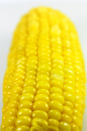 boiled corn isolated on the white backgroundの写真素材