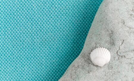 A small white seashell lies on a gray stone. Blue aqua trendy fabric background with empty place for textの写真素材
