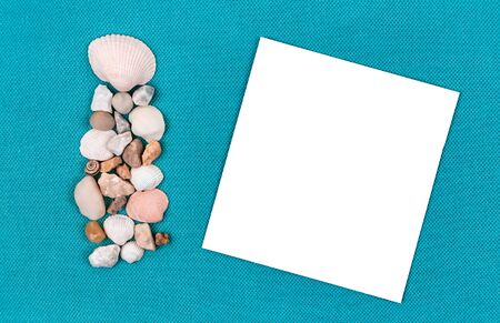 Sea shells laid out on a trendy aqua blue background with an empty place for text.の写真素材