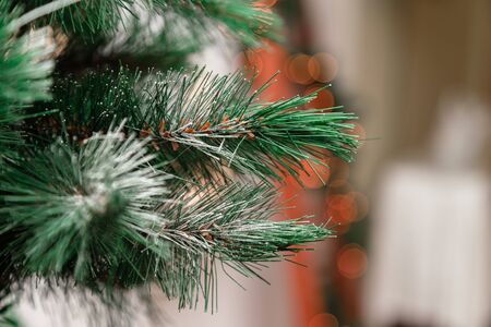 Close-up of christmas tree with snow flake. New Year concept. Christmas lights background.