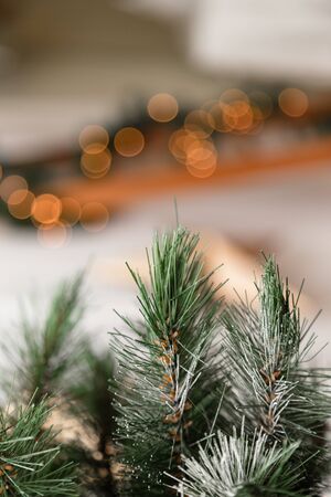 Vertical close-up of christmas tree with snow flake. New Year concept. Christmas lights background.の写真素材