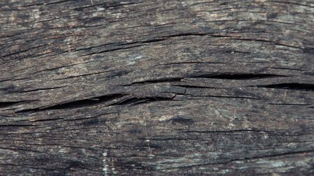 Wood texture. background old panel. Abstract background, empty template.の写真素材