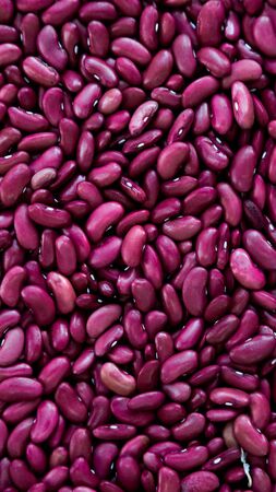 vertical close up purple beans background, purple beans seeds.の写真素材