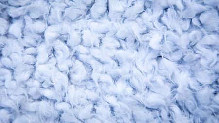 Close-up of wool, karakul, fur texture background. Fur background. purple cotton, sheepskin texture.の写真素材