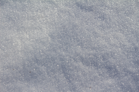 Field under the snow in winter in the afternoonの写真素材