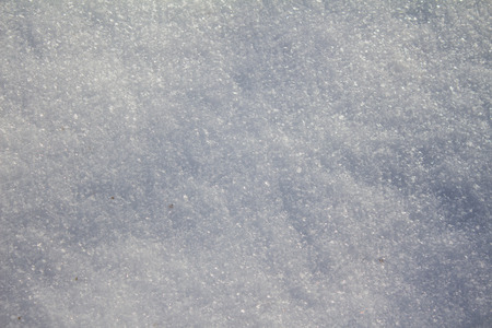 Hoarfrost on the plants in winter field in the morningの写真素材