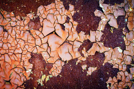 Grunge wood panels for backgroundの写真素材