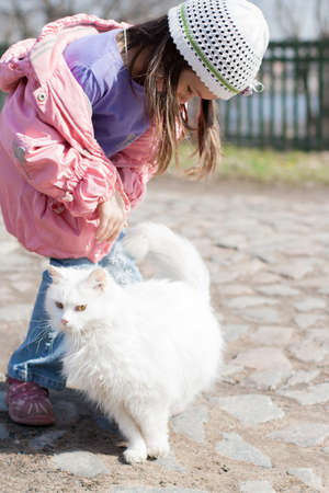 Cute little girl stroking white cat, outdoorsの写真素材