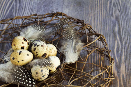 quail eggs in nest on wooden backgroundの写真素材