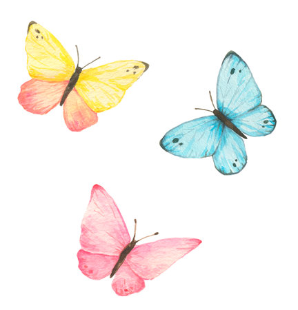 Watercolor butterflies set isolated on white background. hand drawn illustration.の写真素材