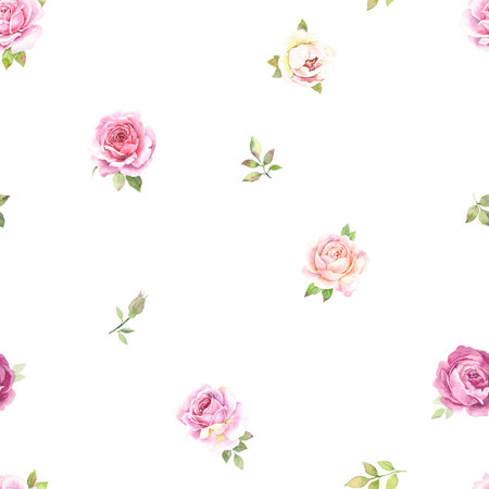 Watercolor rose illustration hand drawn. seamless patternの写真素材