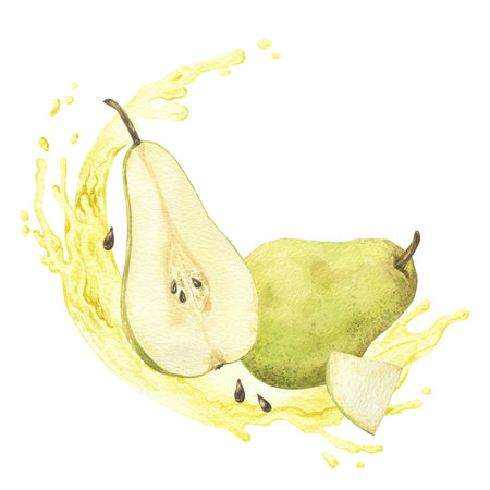 Green pear with pear slices and juice splash watercolor illustration isolated on white. Hand drawn fresh whole pear and a half illustration for menu and packagingの写真素材