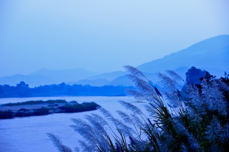 Thailand - Laos border.の写真素材