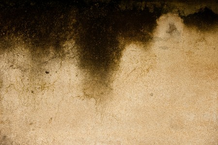 Textrue of an old concrete wall.の写真素材