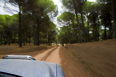 Blurred action from car at high speed in a forest trackの写真素材