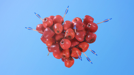 Arrows in Apple Heart