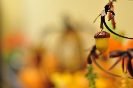 Pecanの写真素材