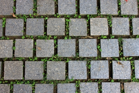 colorful brick wall as backgroundの写真素材