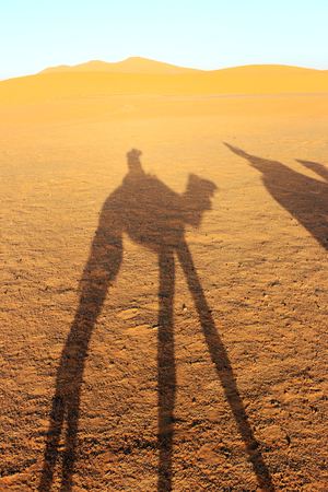 Camal caravan on a Nomad trip through sand desert.の写真素材