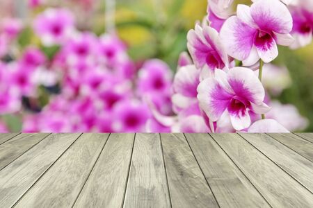 blank wood space table with Thailand white orchid .wooden space for display and add more value of new many product.の写真素材