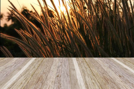 blank wood table space with grass petal in sun set time background. empty space for add more value .