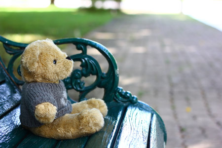 brown teddy bear put on gray swester sitting on wooden green bench , copy spaceの写真素材