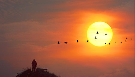 silhouette tree with sun dawn on sea with multi color sky nature  backgroundの写真素材