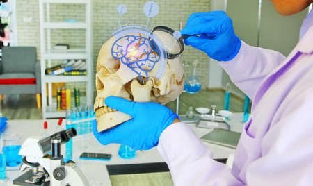 doctor looking  skull model by magnifying glass with futuristic technology health icon , health care...