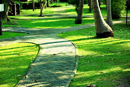 brick walkway in garden . morning light with shadow of coconut tree and moss on walkwayの写真素材
