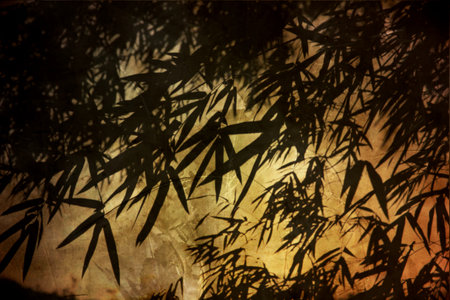 bamboo leaves shadow on  cement texture abstract backgroundの写真素材