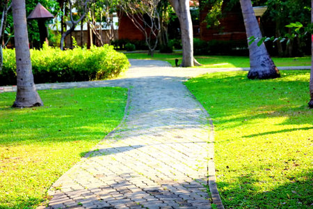 garden design bringing light and shadow to make beauty nature pattern on ground .  abstract pattern...