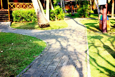 garden design bringing light and shadow to make beauty nature pattern on ground .  abstract pattern decoration on green grass nature backgroundの写真素材