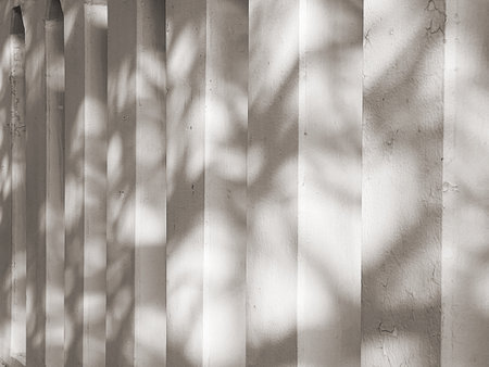 shadow of branches on old concrete square pole perspective view