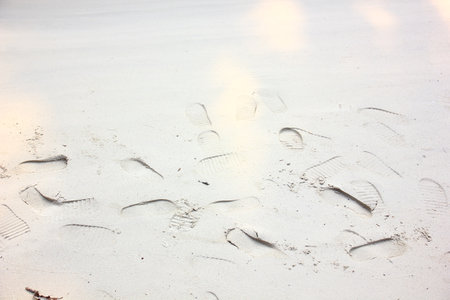 many footprints on beachの写真素材