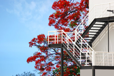 emergency steel stairs install out side the resident . fire escape steel stairs geometric shape iron abstract patternの写真素材