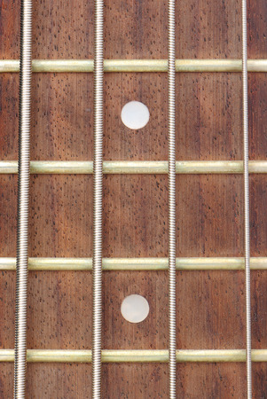frets on fingerboard of electric bass guitar (close up)