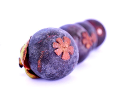 A mangosten is fresh and tasty fruitの写真素材