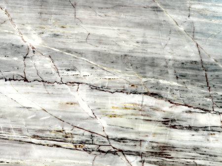 Black and white nature marble pattern and texture for background.の写真素材