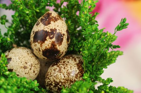 Easter Eggs
