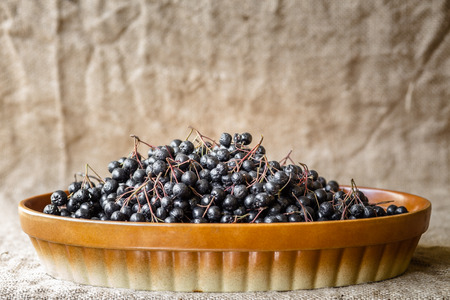 Aronia in bowlの写真素材