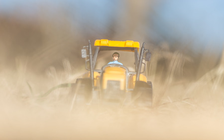 Small yellow toy tractor in yellow grassの写真素材