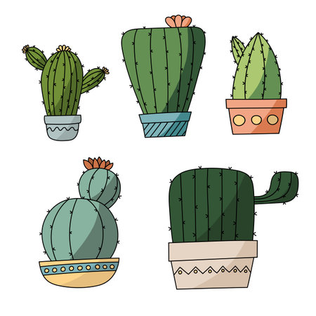 Vector set of bright cactus. Cactus with flowers.のイラスト素材