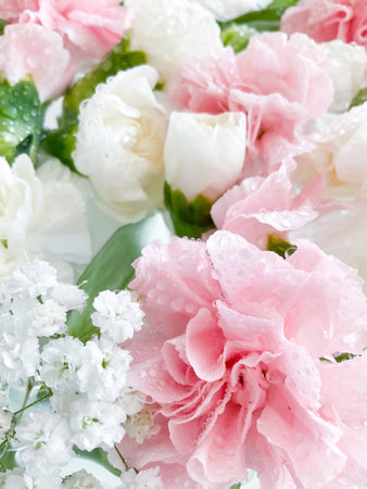 Carnation in water, spa background. Leaves, flowerの写真素材