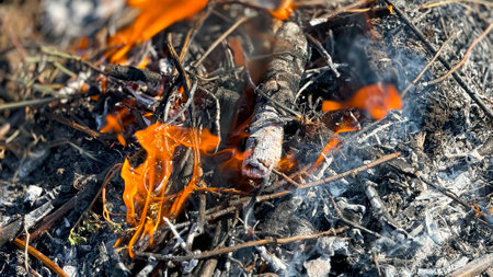 Close-up of burning twigs and ashes with vibrant flames outdoors
