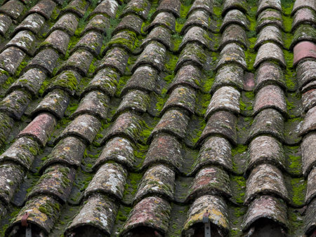 Moss covered clay roof tiles in rustic pattern