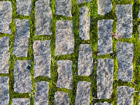 Cobblestone pathway with mossy growth and natural texturesの写真素材
