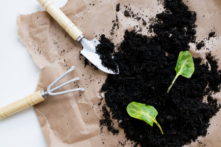 Gardening tools with soil and green seedlings on brown paper background