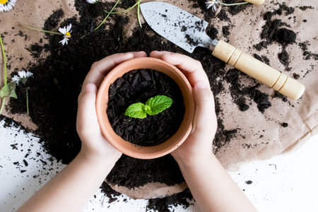 Childs hands planting green seedling in terracotta pot with gardening tools on soilの写真素材