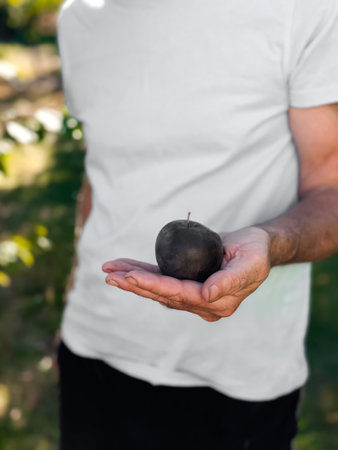 Caucasian male holding black apple outdoors in summer gardenの写真素材