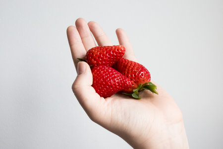 Close up of fresh strawberries held in a caucasian female hand against white backgroundの写真素材